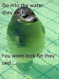 Top 26 super funny animal memes. Silly Animal Memes Popsugar Pets