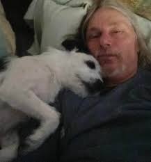 Healing and coping with pet loss through new companionship