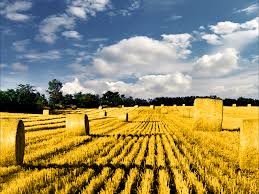 It lies within the pannonian basin, bordered to the south. Vojvodina Wallpapers Vojvodina Stock Photos