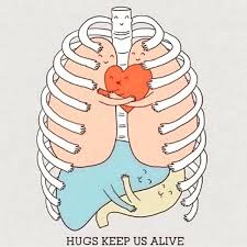 Human Anatomy Medical Wallpaper Medical School Life Doctor Medical