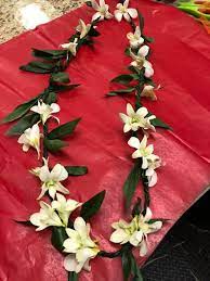 Maybe you would like to learn more about one of these? Modesto Exotic Flowers Home Facebook