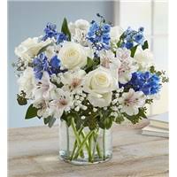 Check spelling or type a new query. Sympathy Gifts Flowers Las Vegas Nv Same Day Same Day Flower Delivery Delivery
