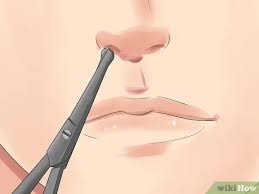 And somewhere along the lines, it seems, he finds a nose hair trimmer. 3 Ways To Trim Nose Hair Wikihow