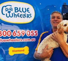 Love taking my dog there. Mobile Dog Groomer Professional Dog Wash Wagga Wagga