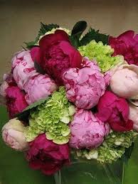 What A Pretty Combination Peonies Hydrangea Peonies And Hydrangeas Beautiful Flowers Pretty Flowers