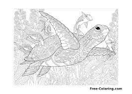 Below are some free printable sea turtle coloring pages for kids to color. Free Coloring Turtle Swimming In The Sea Free Adult Coloring Pages