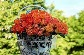 W tym uroczystym dniu z okazji imienin szczere i serdeczne życzenia: Imieniny Anny Zyczenia Imieninowe Czego Zyczymy Aniom W Dniu Imienin Krotkie Wierszyki Mozesz Wyslac Sms Dziennik Lodzki