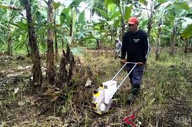 Kreatif Padangpariaman Sediakan Alat Pertanian Untuk Dipinjamkan Pada Petani Antara Sumbar Sudah dilengkapi part dengan lubang yang sesuai. kreatif padangpariaman sediakan alat