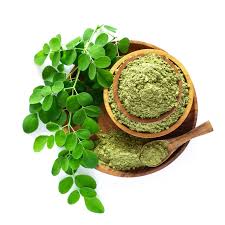 Image result for Moringa