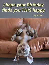 50 Funny Happy Birthday Quotes Wishes For Best Friends Funny Happy Birthday Wishes Happy Birthday Quotes Funny Happy Birthday Funny