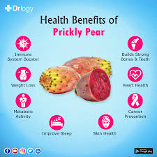 Prickly pear cactus is known by several other names, such as cactus fruit, nopal, and opuntia. Benefits Health Most People Are Wary Of Cactus Plants Because They Are Covered With Injury Causing Spikes But Did You K Cactus Benefits Health Cactus Plants