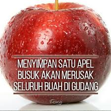 It was like being a worm, working your way into a rotten apple. Kata Bijak Status Pendek Status Lucu Dan Romantis Menyimpan Satu Apel Busuk Akan Merusak Seluruh Buah Di Gudang Bit Ly Appmotivasi Facebook