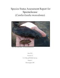 Species Status Assessment Report for Spectaclecase