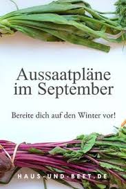 Aussaatplane Im September Bereite Dich Auf Den Winter Vor Haus Und Beet Wintergemuse Anbauen Gemuse Anbauen Herbst Gemuse