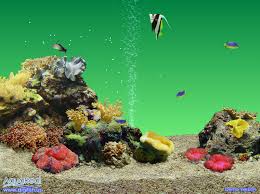 It is very popular to decorate the background of mac, windows, desktop or android device beautifully. Aquareal Descargar