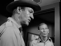 The Fugitive (TV Series 1963–1967)