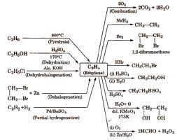 Organic Chemistry Class 12 Conversion Chart Pdf