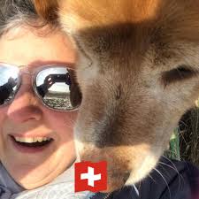 Any experience ordering seeds/plants from Ontario farms?