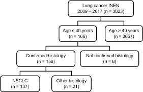 Lung cancer is one of the most common cancers in the uk and also one of the heaviest. Lung Cancer In The Young Springerlink