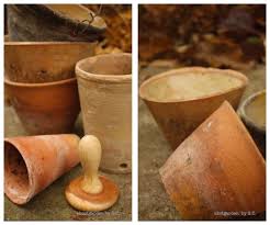 Risultati immagini per lavare vaso piante