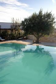 Pool Masseria Fumarola Puglia Pool Landscaping Outdoor Pool Outdoor Interior Design