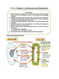 In cell biology, the nucleus (pl. Cell Structure And Organization Cytoplasm Vacuole