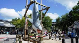 Beetlejuice is the stage name of american actor and comedian, lester green. Smart Travel Travel Guide Application