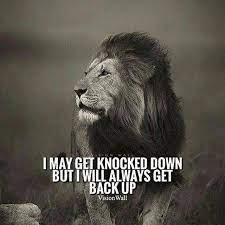 I May Get Knocked Down But Motivationalpics Lionquotes Fearlessquote Bestrongquotes Lion Quotes Perfection Quotes Fearless Quotes