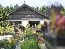We also carry landscaping and garden supplies, from garden gloves and garden shears to rubber mulch and rain barrels that catch and conserve runoff. Garden Centres Open Are Garden Centres Open Today Express Co Uk