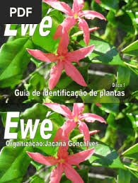 Image result for Ancylobothrys amoena