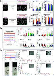 Not to mention the type 89 at 8.3, which will run circles around all of these with an insane stabilized cannon, good mobility that mg151/20 and mg151/15 is highly unhistorical. Progress In The Mechanical Modulation Of Cell Functions In Tissue Engineering Biomaterials Science Rsc Publishing