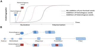 Cloud seeding, manipulating cloud formations. Cross Seeding Of Misfolded Proteins Implications For Etiology And Pathogenesis Of Protein Misfolding Diseases