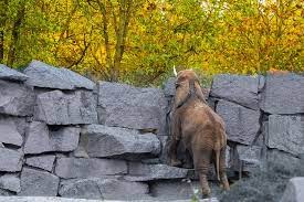 Каждый год 20 июня мировое сообщество отмечает всемирный день беженцев , утвержденный генеральной ассамблеей оон в 2000 году. 20 Iyunya Kakoj Segodnya Prazdnik Podrobnosti Ua