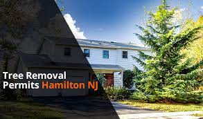 Maybe you would like to learn more about one of these? Tree Removal Law S Permits Hamilton Nj Quick Summary