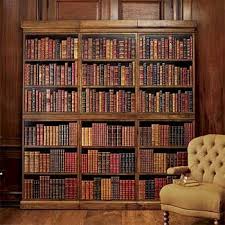 Library Advocate Decorative Wood Book Shelves Wood Book Wood Decor Shelves