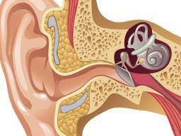 Use ear drops to pop your ears fast. How To Relieve Pressure In Ears When They Will Not Pop