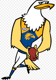 (zh) west coast eagles (ca); West Coast Eagles 2017 Afl Season Rick The Rock Eagle Mascot Clip Art Png 785x1176px 2017 Afl Season West Coast Eagles American Football Area Art Download Free
