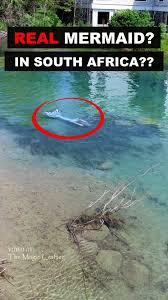 Image result for real mermaid