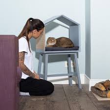 esthetica product purro domik dlya koshek petteldesign model m au and ganesh ph phodographer ru