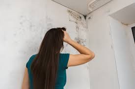 Open the window the fastest way to ventilate your home overnight and reduce condensation is to open the windows. How To Stop Condensation At Home