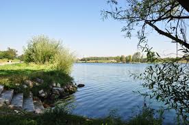 .neue donau mitte, stromkilometer 10,5, 1220 vienna, austria | maps, information and comments for vienna city beach club on vienna city beach club, austria. Bergfex Bathing Lake Neue Donau Donauinsel Naturbadesee Lake Baden Schwimmen