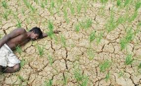 Image result for முல்லைத்தீவில் வறுமை