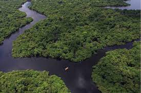 Nach amazon europa, australien und usa können sie nun schon seit einiger zeit auch auf amazon türkei und indien listen. Amazonas Gebiet Stosst Mehr Co2 Aus Als Es Bindet Geo