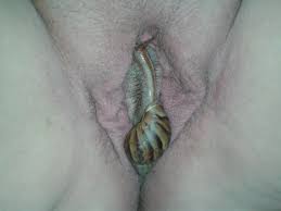 Snail on pussy