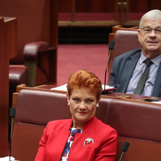 One Nation senator defies Pauline Hanson over company tax cuts | Australian politics | The Guardian