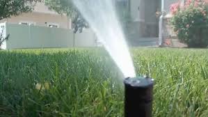 How long do you need to leave the sprinkler in one spot? How Changing The Landscaping Of A Single Lawn Can Save 100 000 Gallons Of Water A Year Wham