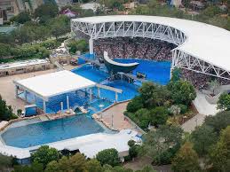 Shamu Whale Stadium