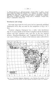 Image result for Empogona sp. A