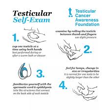 Testicular cancer begins in your testes, the male reproductive organ. Testicular Cancer Testescancer Twitter