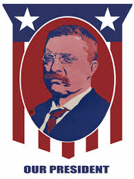Resultado de imagen de Campaign Posters
